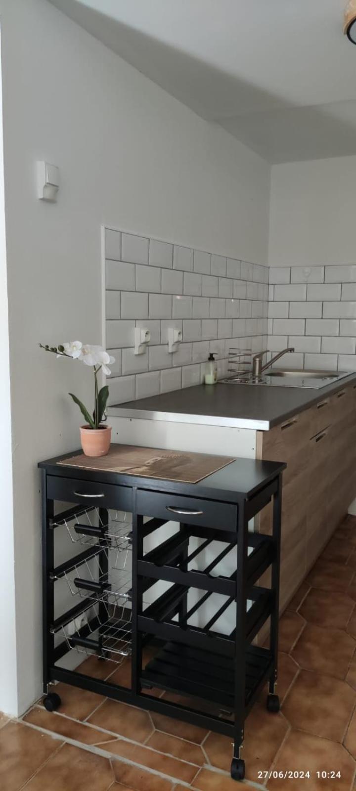 Appartement A L Ombre Du Figuier à Cagnac-les-Mines Extérieur photo